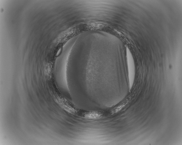 X0000085770759200704131803