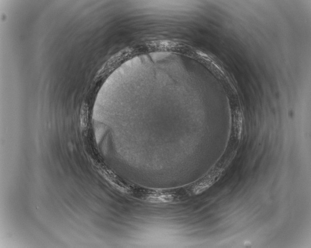 X0000085770760200704131803