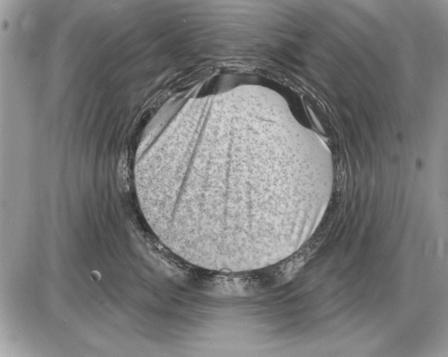 X0000085770764200704131803