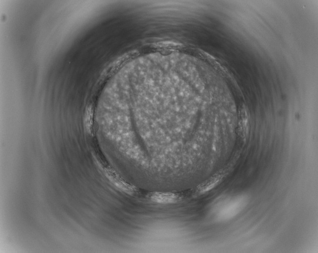 X0000085770767200704131803