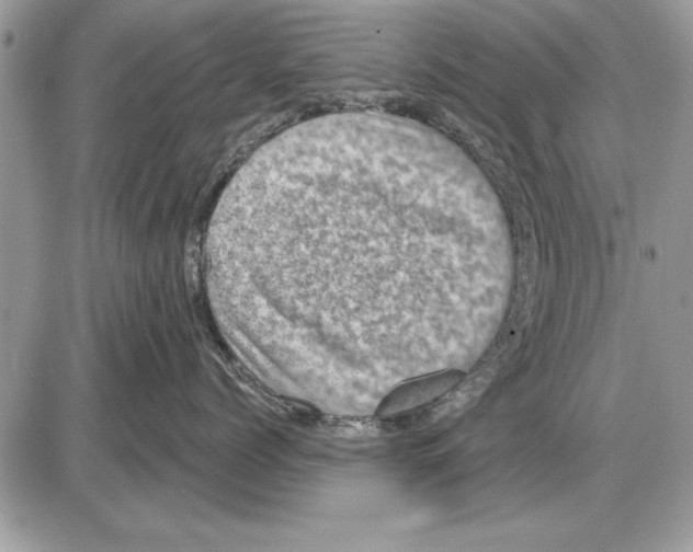 X0000085770768200704131803