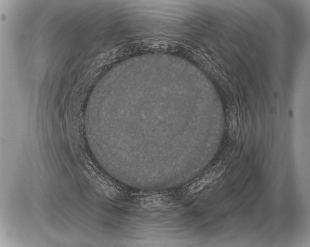 X0000085770769200704131802