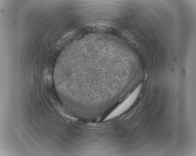 X0000085770771200704131802