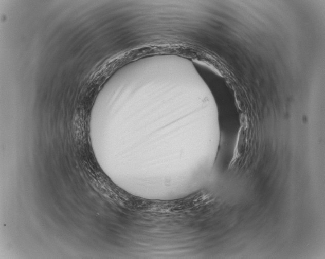 X0000085770773200704131802