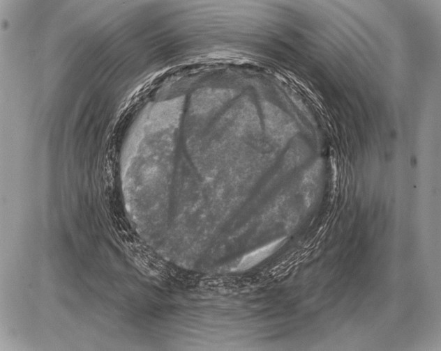 X0000085770776200704131802