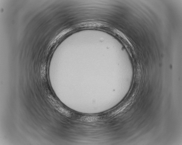 X0000085770778200704131802