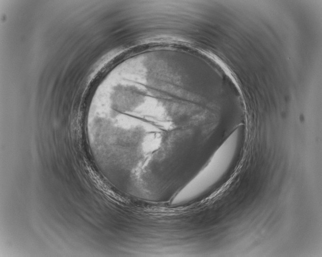 X0000085770783200704131802