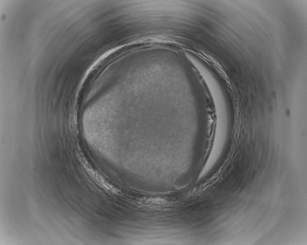 X0000085770784200704131802