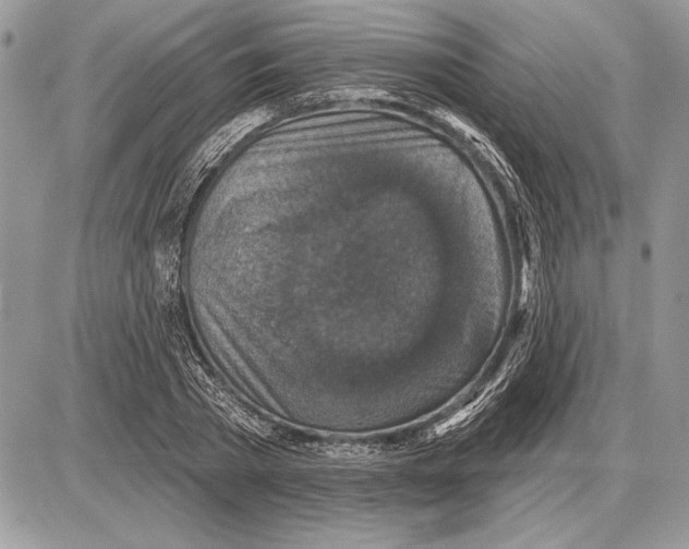 X0000085770785200704131802