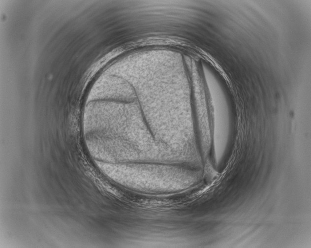 X0000085770786200704131802