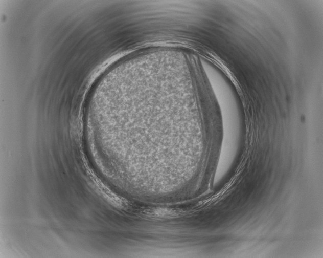 X0000085770787200704131802