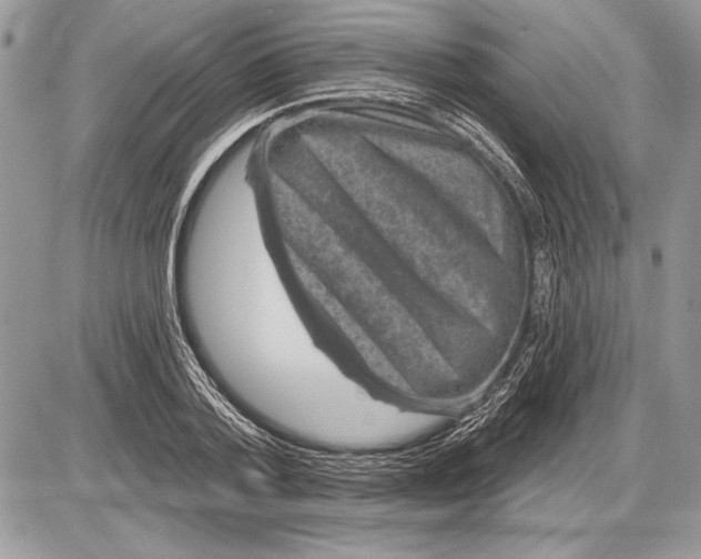 X0000085770788200704131802