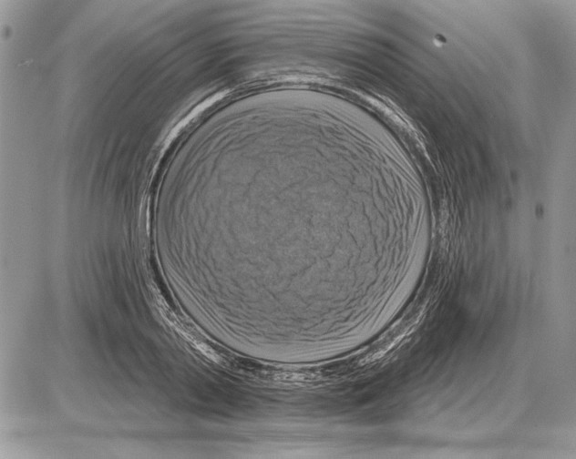 X0000085770790200704131802