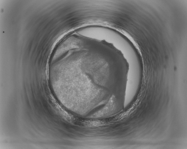 X0000085770791200704131802