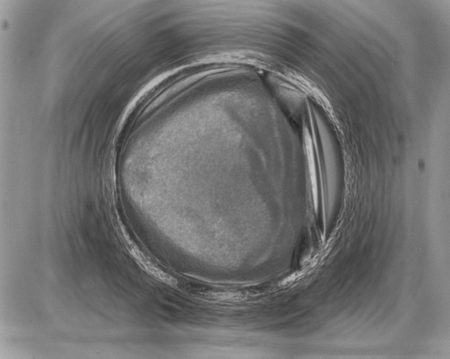 X0000085770792200704131802