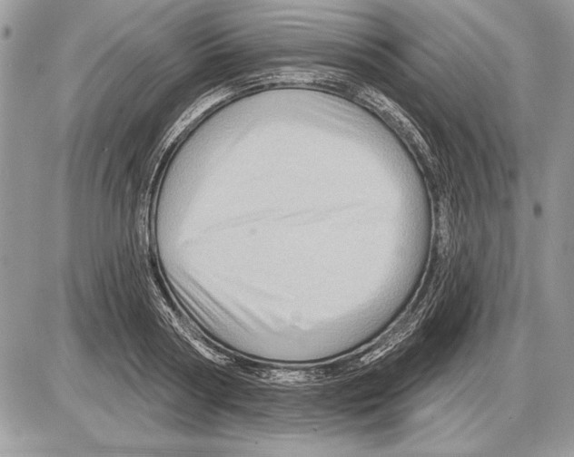 X0000085770794200704131802