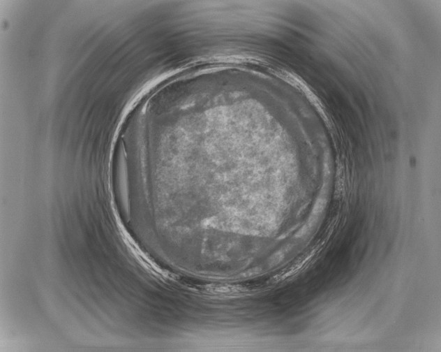 X0000085770795200704131802