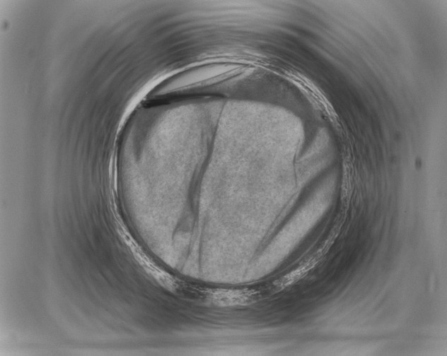 X0000085770796200704131802