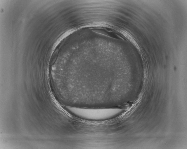 X0000085770797200704131802