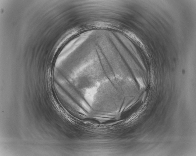 X0000085770798200704131802