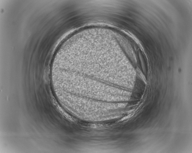 X0000085770799200704131802