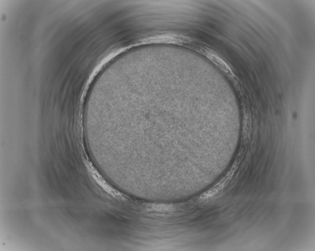 X0000085770800200704131802