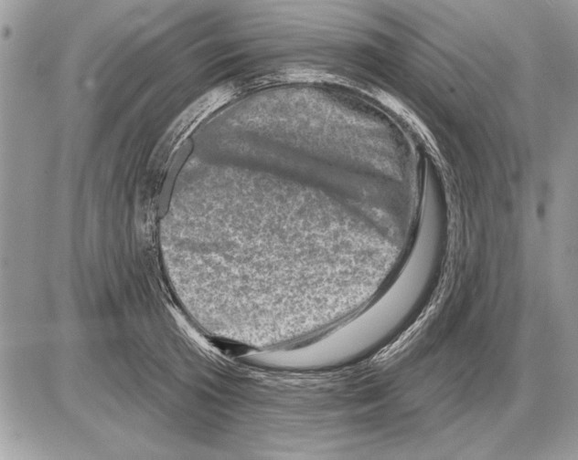 X0000085770801200704131802