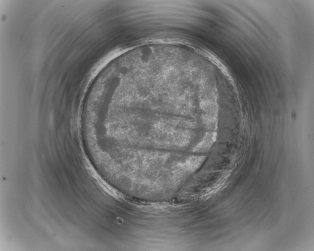 X0000085770803200704131802