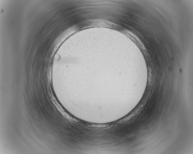 X0000085770804200704131802