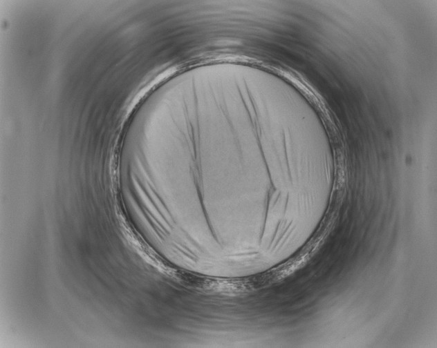 X0000085770806200704131802