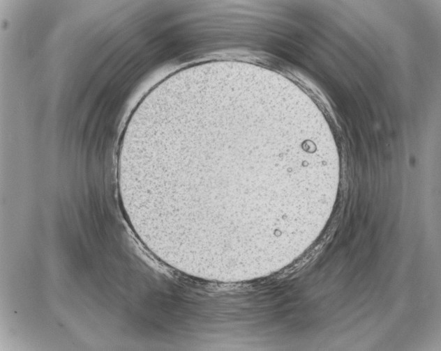 X0000085770808200704131802