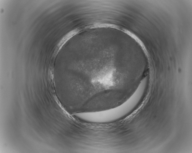 X0000085770809200704131802