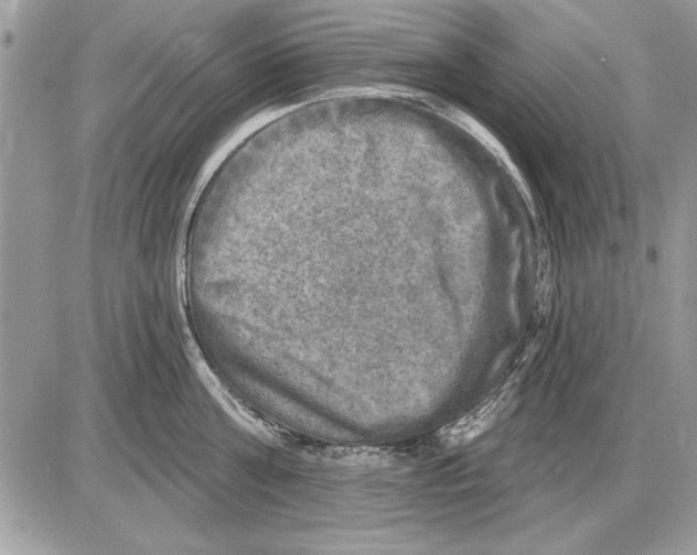 X0000085770811200704131802