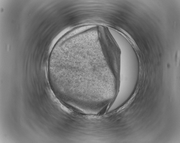 X0000085770812200704131802