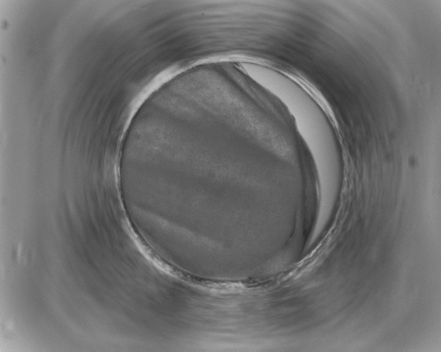 X0000085770813200704131802