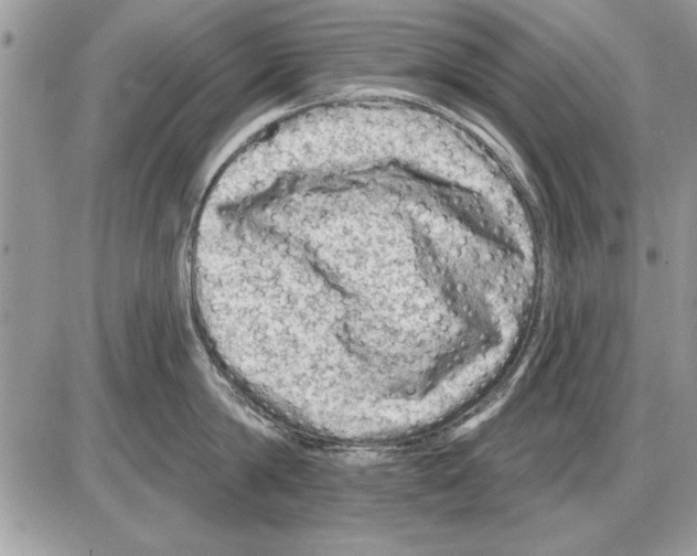 X0000085770814200704131802