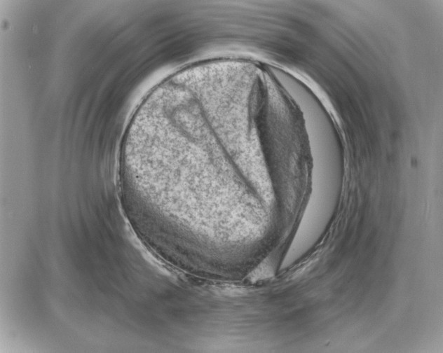 X0000085770815200704131802