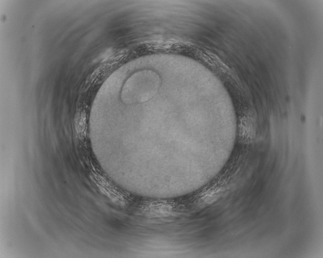 X0000085770820200704131801