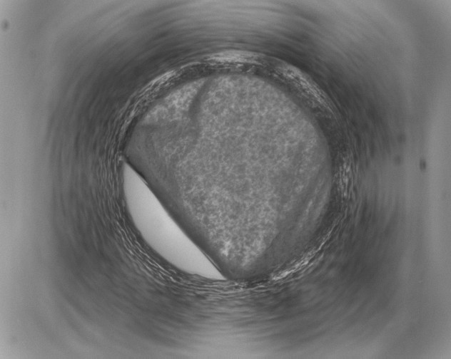 X0000085770821200704131801