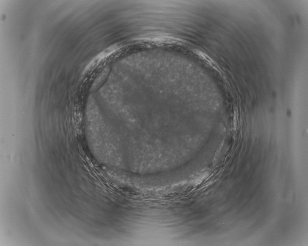 X0000085770822200704131801