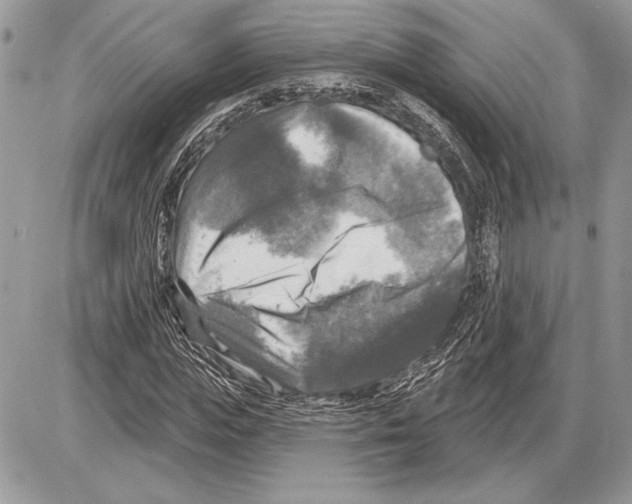 X0000085770823200704131801