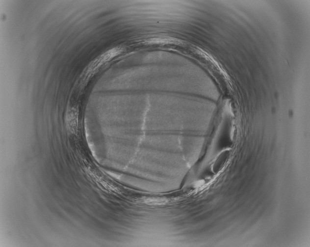 X0000085770825200704131801