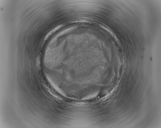 X0000085770826200704131801