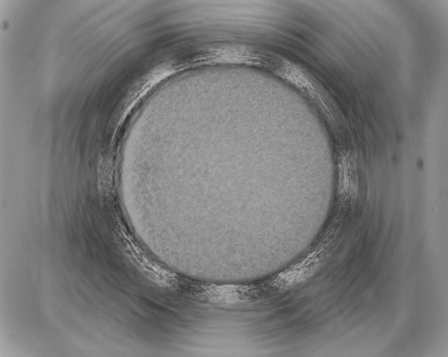 X0000085770828200704131801