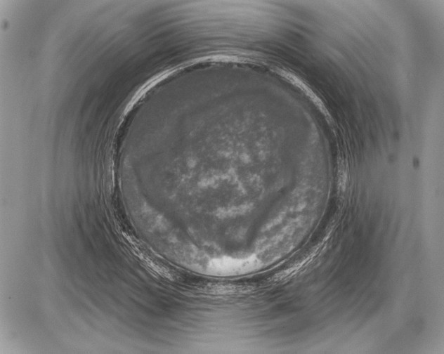 X0000085770829200704131801