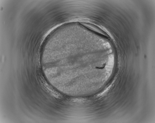 X0000085770830200704131801