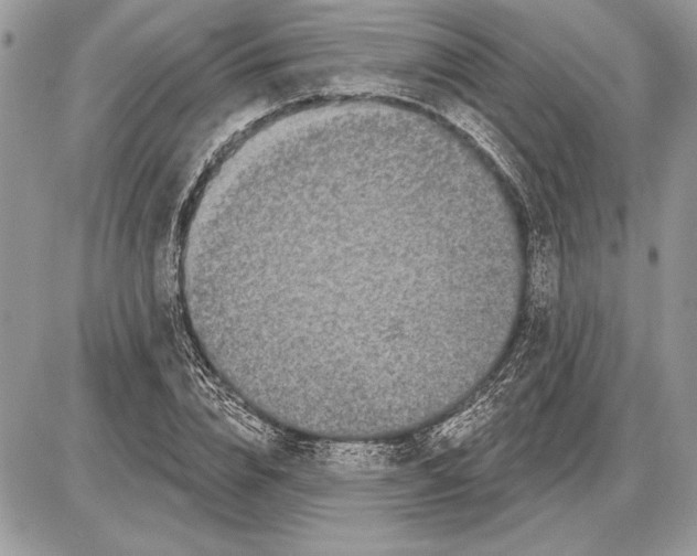 X0000085770832200704131801