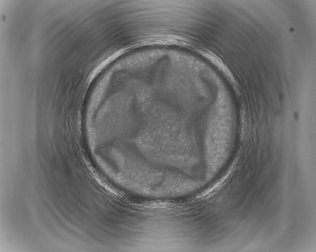 X0000085770834200704131801