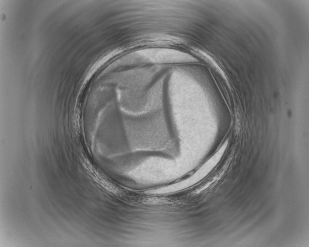 X0000085770835200704131801