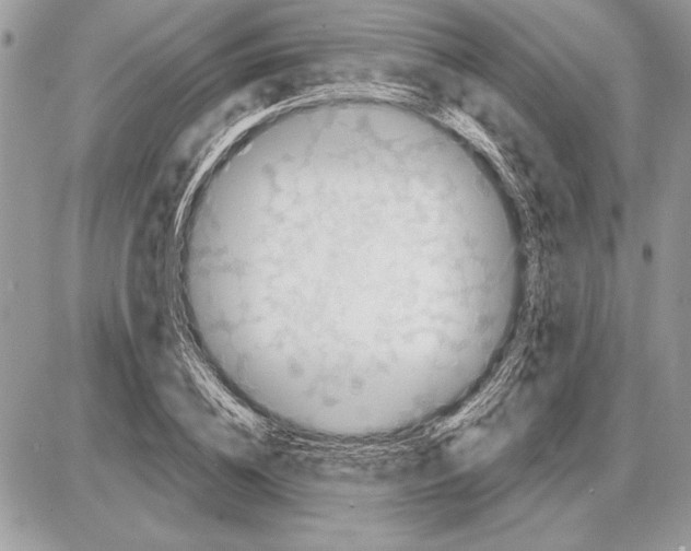 X0000085770836200704131801